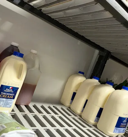 kitchen-cleaning-service-for-apartments